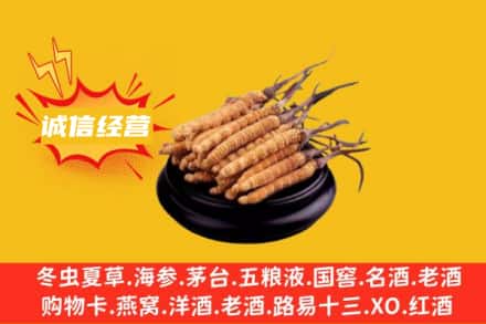 重庆沙坪坝区回收冬虫夏草